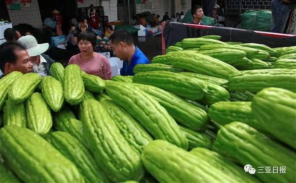 已先后建成规模化,工厂化的优质蔬菜种苗开发中