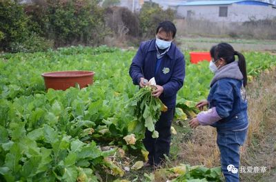 【乡村振兴】“寨沙头菜”有了属于自己的展示馆!