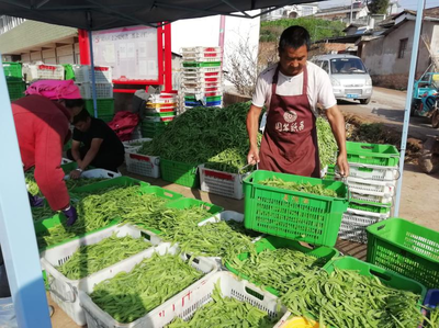 昆明市晋宁区双河彝族乡加强农产品交易市场信用管理--助力乡村振兴取得实效